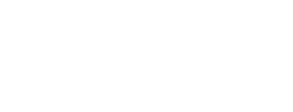 Pallotta S.r.l. 1859